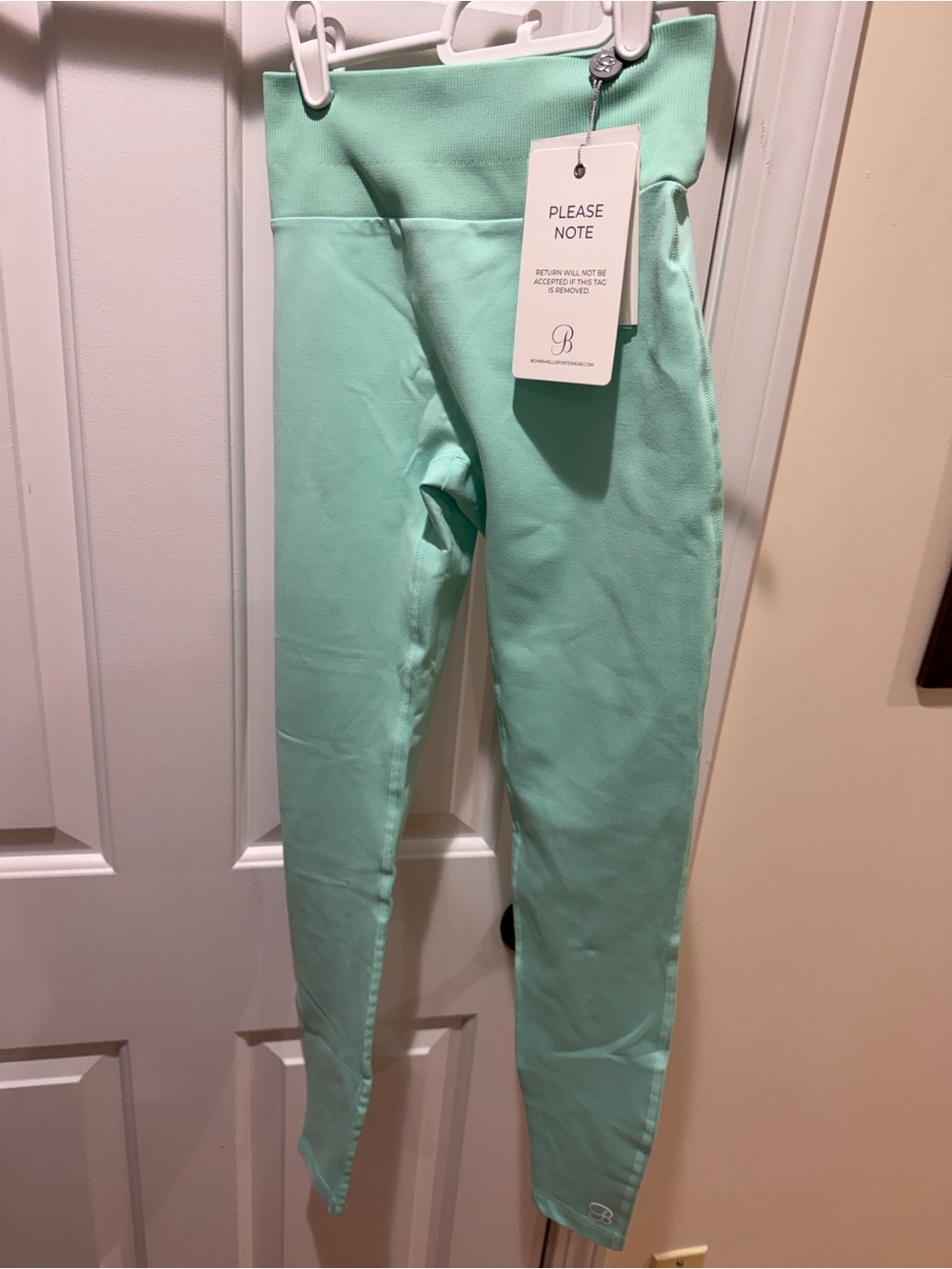 Bombshell Sportswear Mint Green Leggings